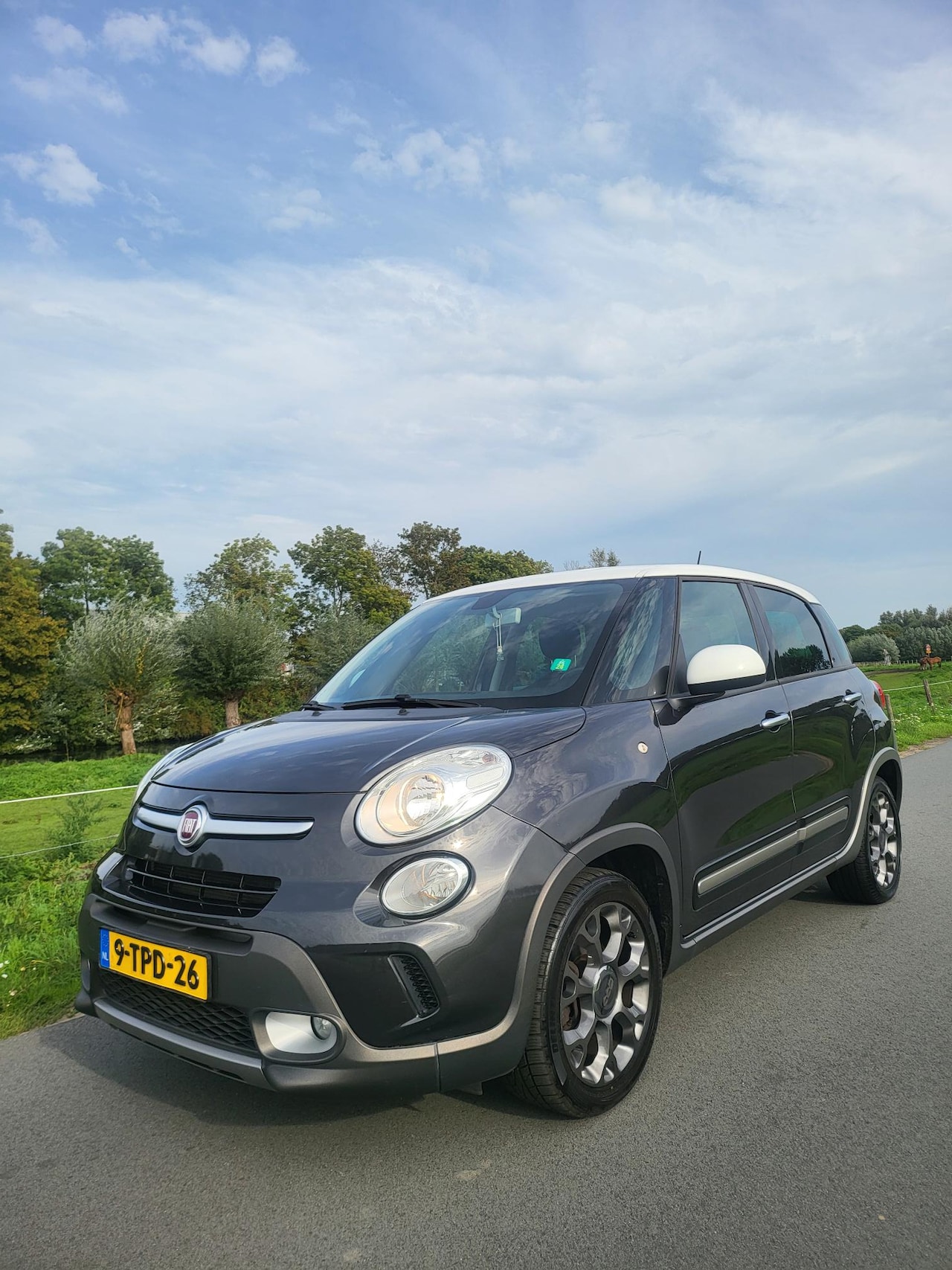 Fiat 500 L - 0.9 TwinAir Trekking Eco Nieuwe APK - AutoWereld.nl