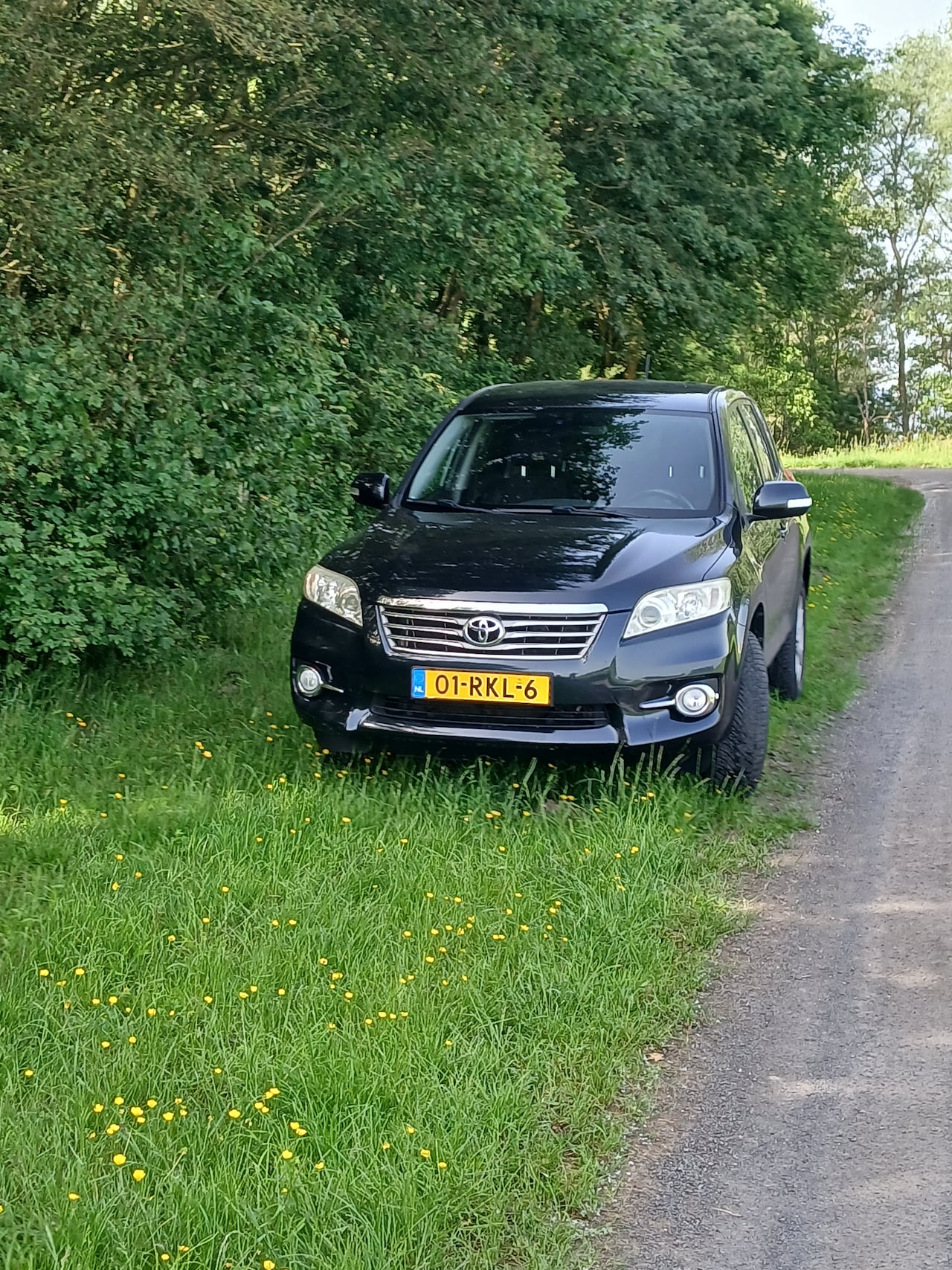 Toyota RAV4 - 2.0 VVTi Executive Business 4x4  parkeer Camera alcantara/leer  stoelverwarming navigatie boordcomputer enz. - AutoWereld.nl