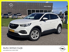 Opel Grandland X - 1.2 Turbo Business + #RIJKLAAR# | Trekhaak | ECC