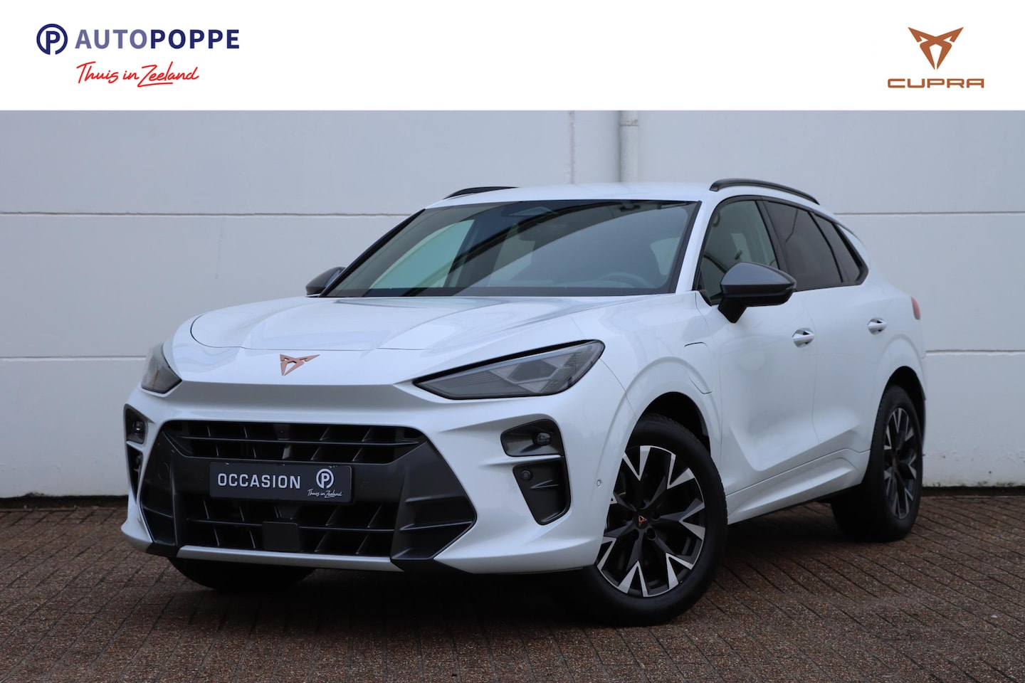 CUPRA Terramar - 1.5 TSI e-Hybrid Business 204pk DSG6 | SOH 100% | - AutoWereld.nl