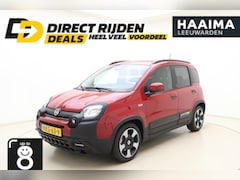 Fiat Panda - 1.0 Hybrid Pandina | Navigatie via Carplay | 8 jaar speciale garantie | Hoge instap | DEMO