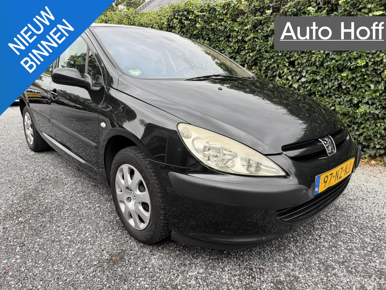Peugeot 307 - 1.6-16V XS | Airco | Cruise Control | Elekt. Ramen | APK tot 16-04-2027! - AutoWereld.nl