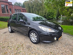 Peugeot 307 - 1.6-16V XS 5-deurs *apk:04-2027
