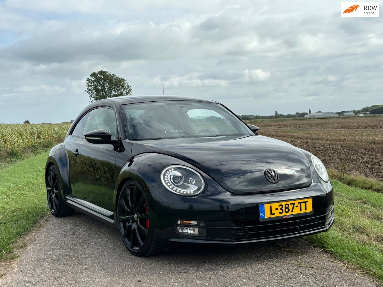 Volkswagen Beetle - 2.0 TSI Sport / AUTOMAAT / AIRCO / STOELVERWARMING / APK / - AutoWereld.nl
