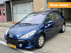 Peugeot 307 - 1.6-16V XT 5drs Clima NAP APK NETTE AUTO RIJDT GOED