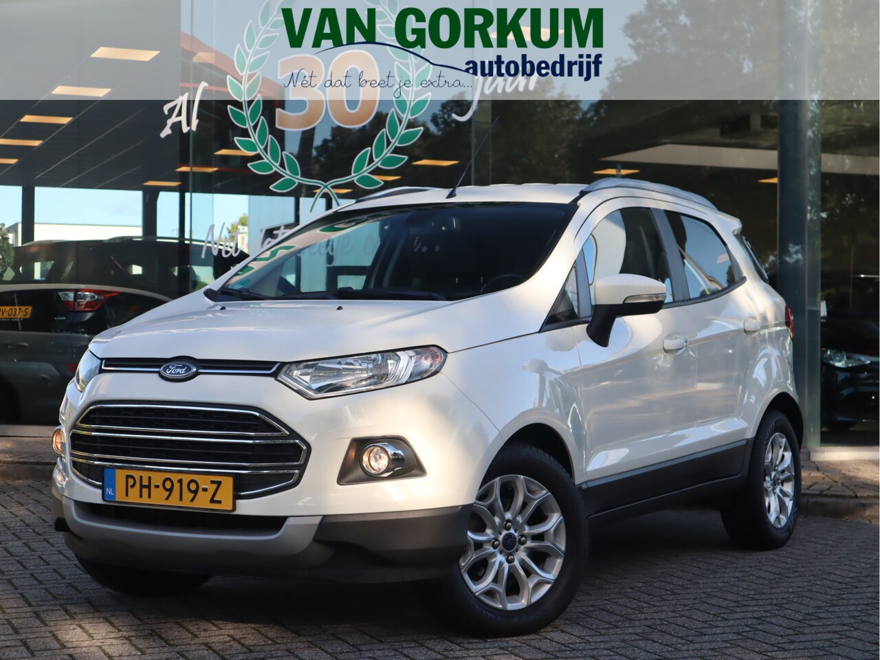 Ford EcoSport - 1.0 EcoBoost Titanium Navi / Stoelverw / Keyless / Pdc / Volledig jaar Apk / Volledig onde - AutoWereld.nl