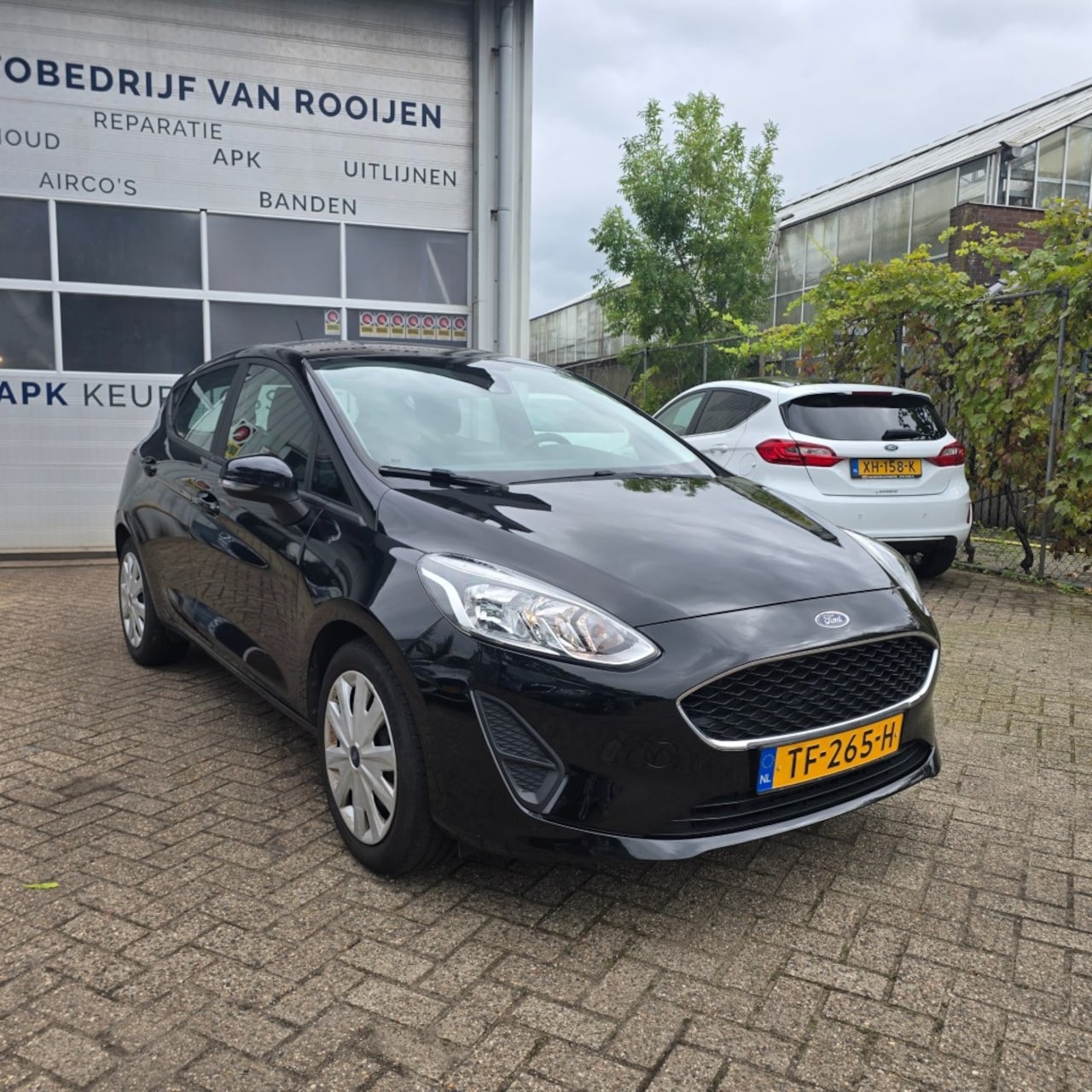 Ford Fiesta - 1.1 63 KW. nieuwe distributieriem - AutoWereld.nl