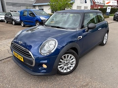 MINI One - 1.2 Salt Business 102pk