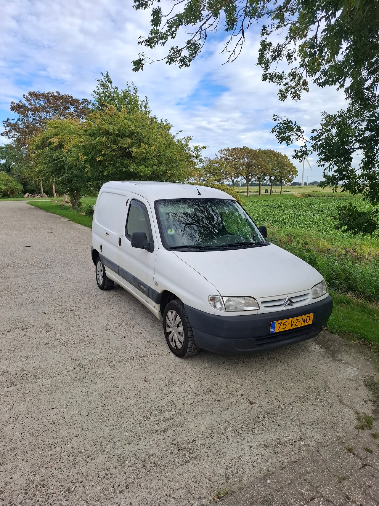 Citroën Berlingo - 1.9 D 600 met trekhaak - AutoWereld.nl