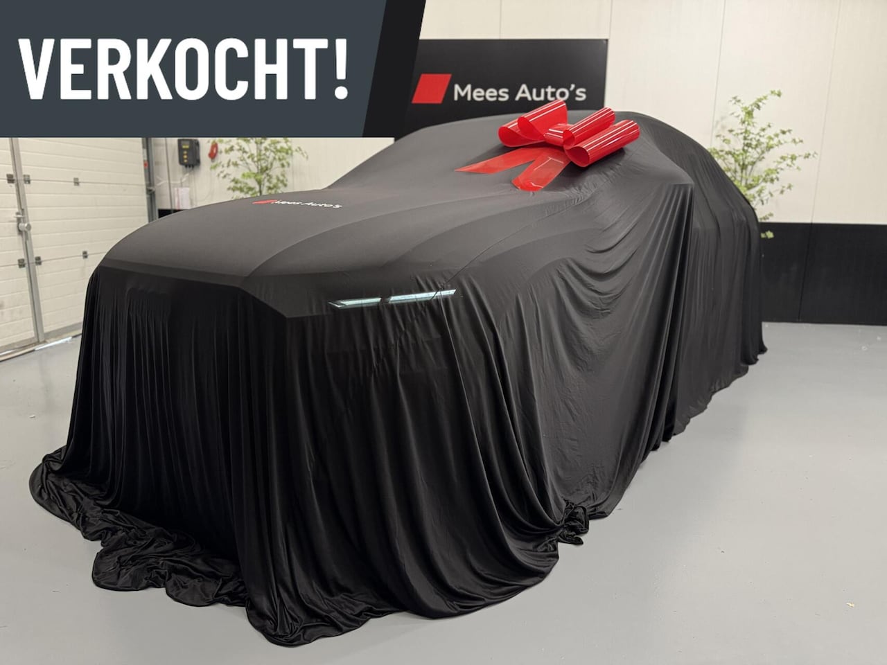 Audi Q8 - 55 TFSI e quattro Pro Line S|Pano|SoftClose|360 Cam| - AutoWereld.nl