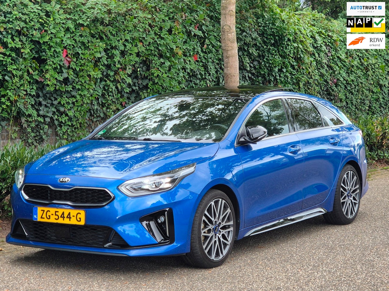Kia Pro cee'd - T-GDI GT-PlusLine VOL OPTIE Panorama Keyless LED ACC Line Assist Camera 1.4 T - AutoWereld.nl