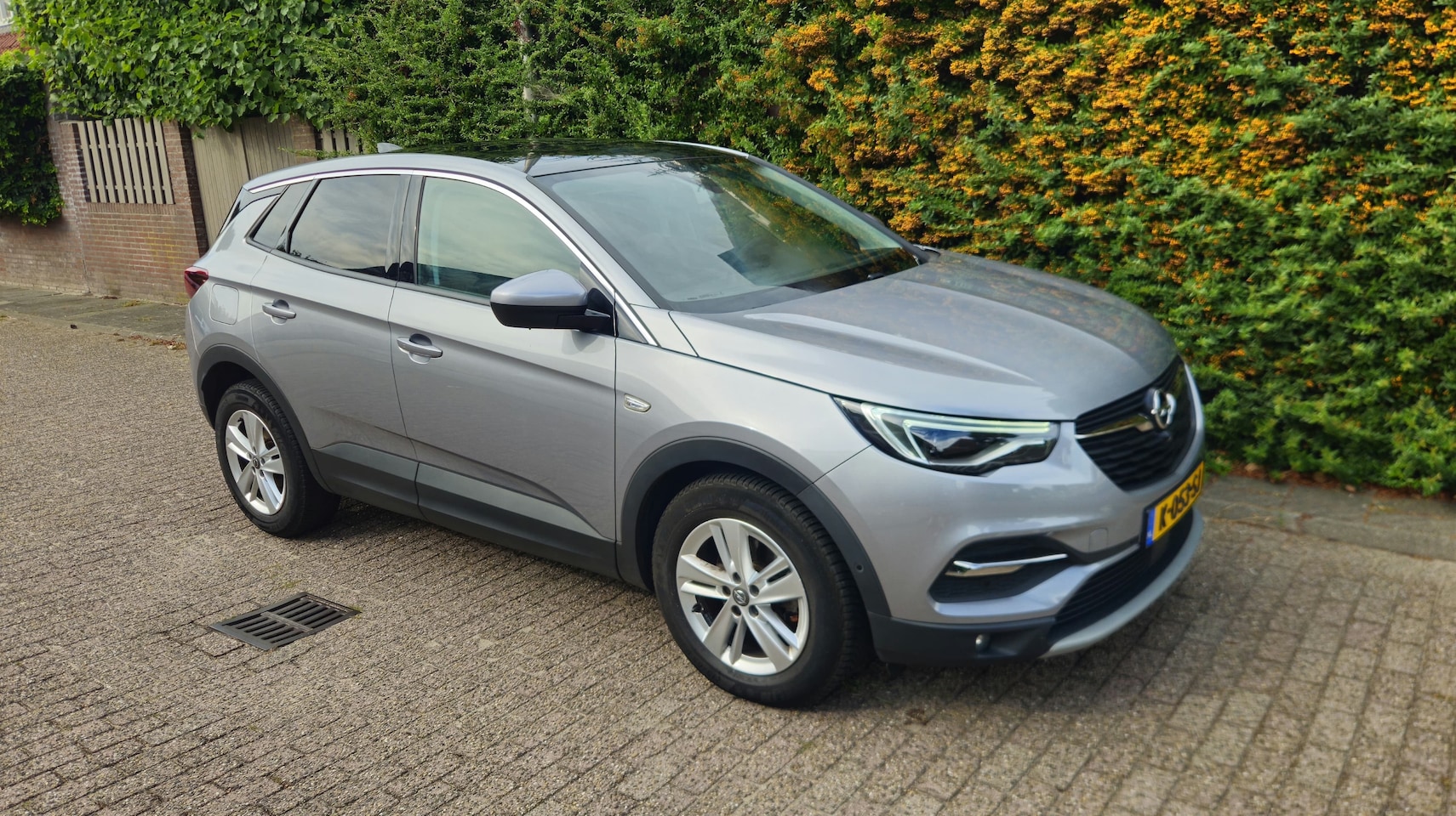 Opel Grandland X - 1.2 Turbo Business Elegance - AutoWereld.nl