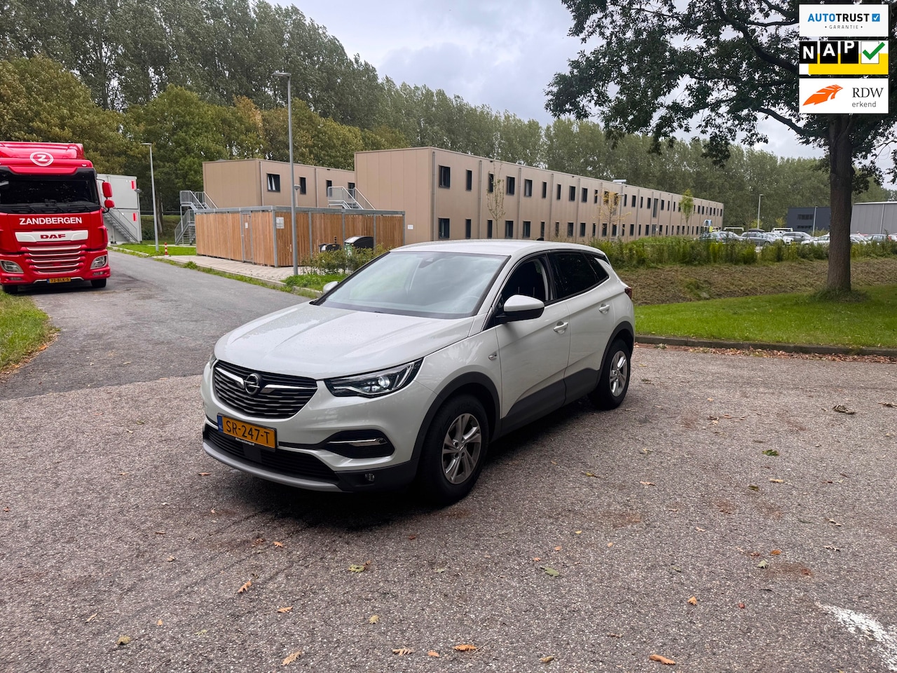 Opel Grandland X - 1.2 Turbo Business Executive Loopt Op 3 Cilinder - AutoWereld.nl