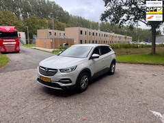 Opel Grandland X - 1.2 Turbo Business Executive Loopt Op 3 Cilinder