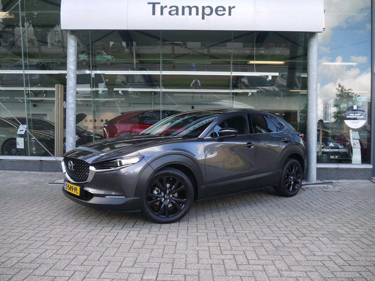 Mazda CX-30 - 2.0 e-SkyActiv-X M Hybrid Homura|Trekhaak|Rijklaar - AutoWereld.nl
