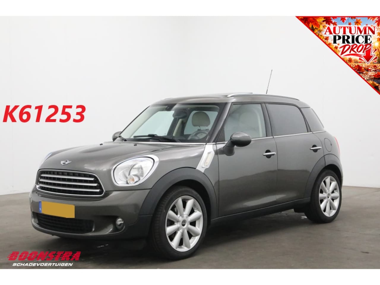 MINI Countryman - 1.6 Cooper Edition Pano Schuif/kantel Cruise Navi Clima Leder SHZ - AutoWereld.nl