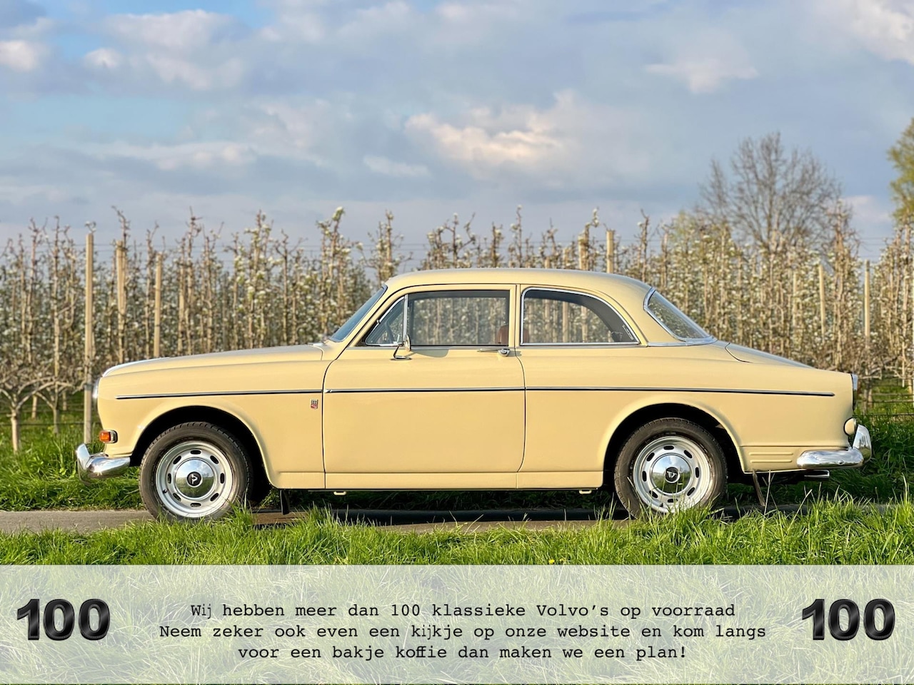 Volvo Amazon - 122S Automaat, vers gespoten, dubbele SU, zeldzaam - AutoWereld.nl