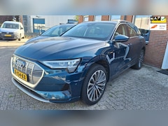 Audi e-tron - 50 quattro Business edition Plus 71 kWh ( start niet)