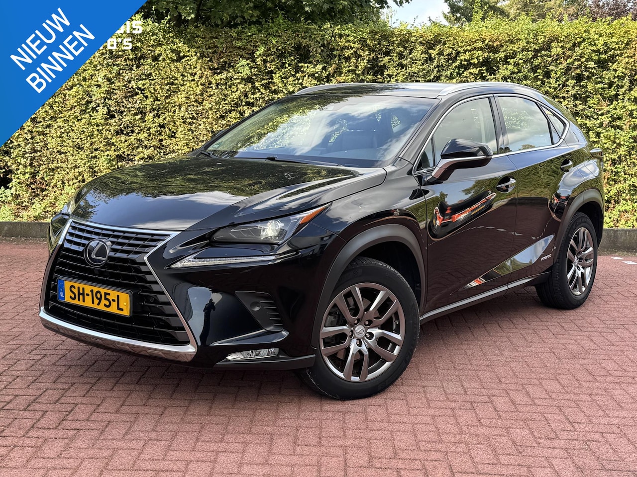 Lexus NX - 300h AWD Business Line Dealer Onderhouden Trekhaak ACC - AutoWereld.nl