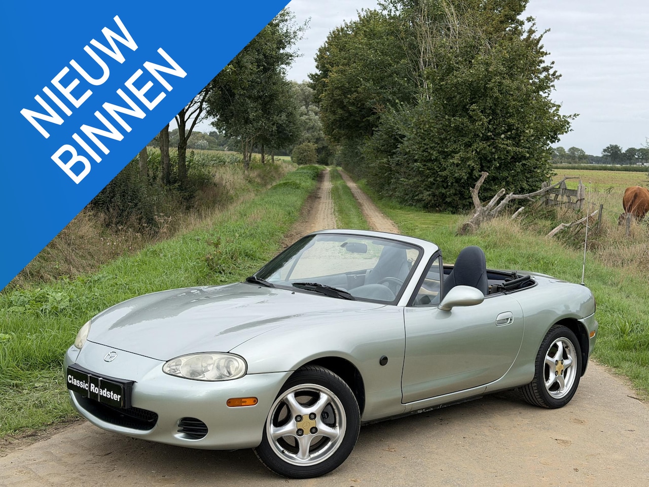 Mazda MX-5 - NBFL 1.6i 110PK SILVER BLUES, OPKNAPPER, PROJECT! - AutoWereld.nl