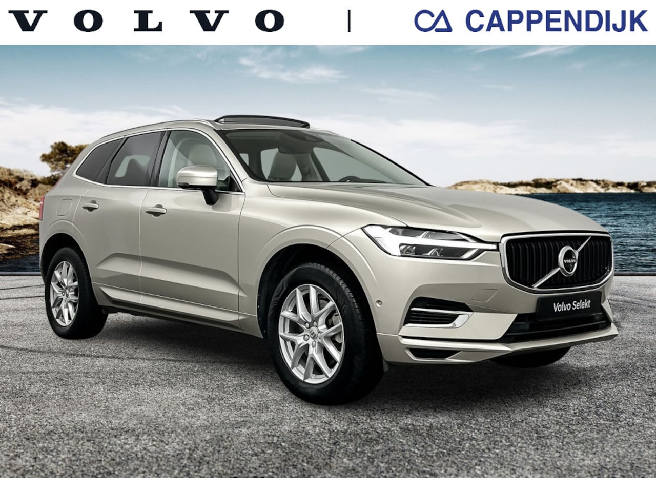 Volvo XC60 - T8 390pk Recharge Momentum| - AutoWereld.nl