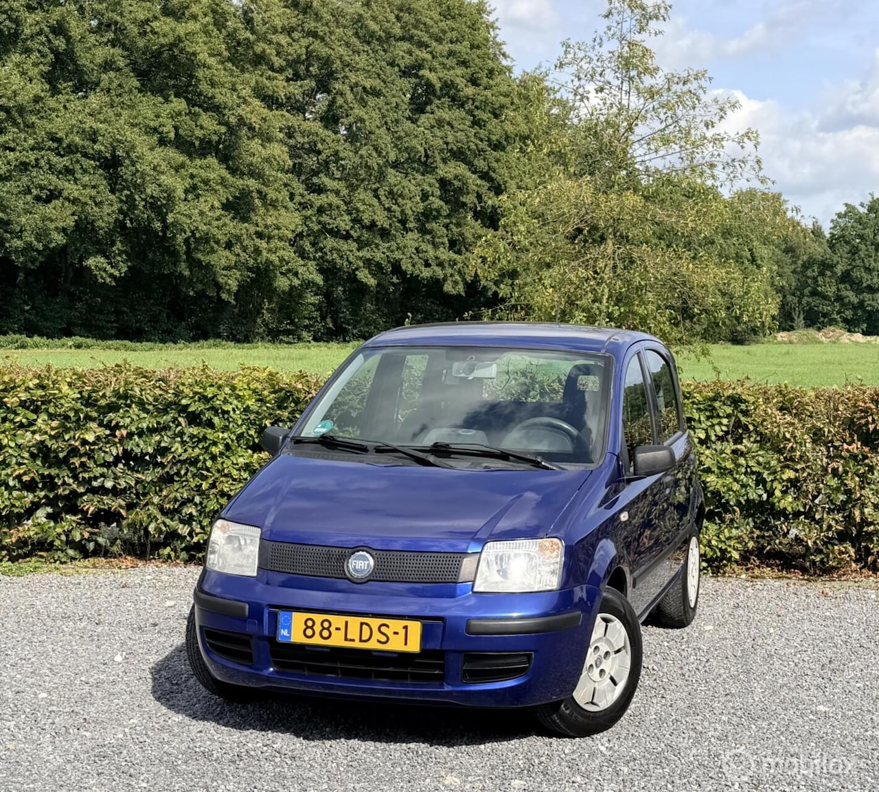 Fiat Panda - * Motor 25dkm * Nw. distr./kopp. * APK + onderh* - AutoWereld.nl