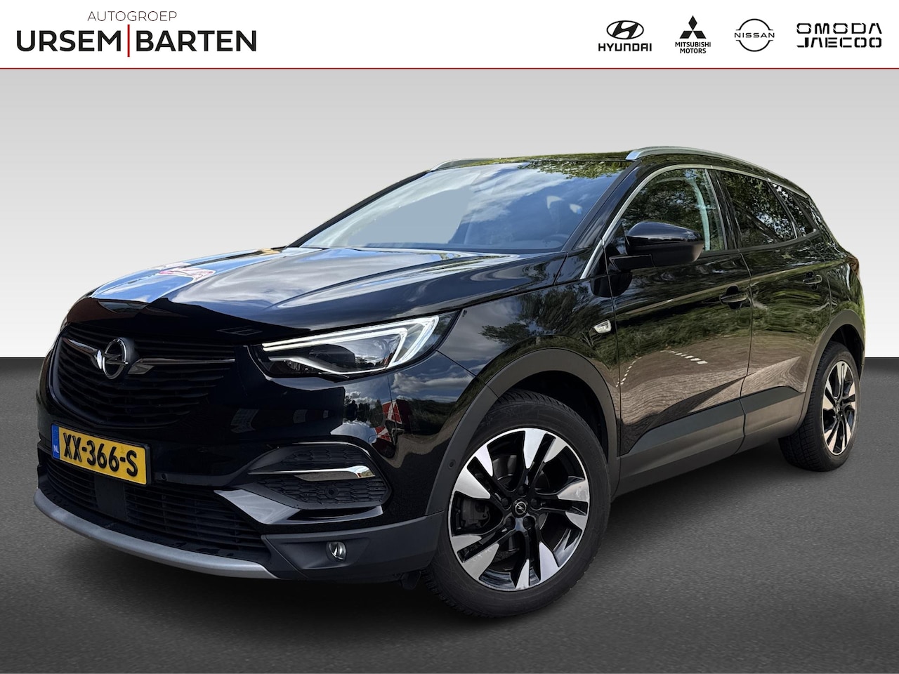 Opel Grandland X - 1.2 Turbo Business Executive 1.2 Turbo Business Executive - AutoWereld.nl
