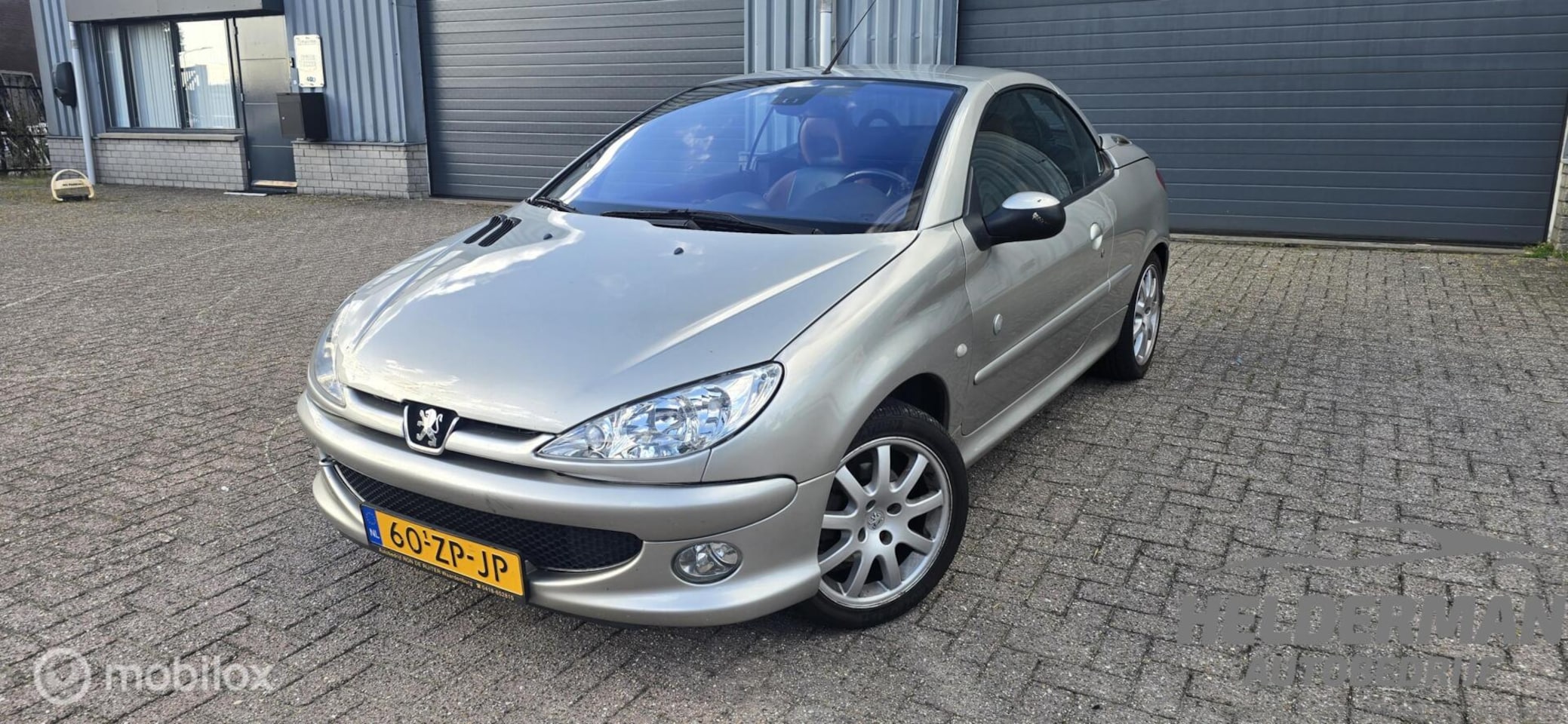 Peugeot 206 CC - Roland Garros | Leder | Climate Control - AutoWereld.nl
