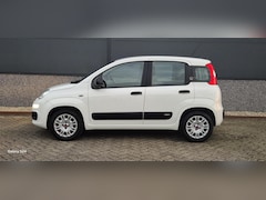 Fiat Panda - 1.2 Popstar Bj 2017