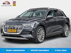 Audi e-tron - 50 quattro Business edition Plus 71 kWh | SoH 93, 8% | Recent bij onderhoud gehad | Trekha
