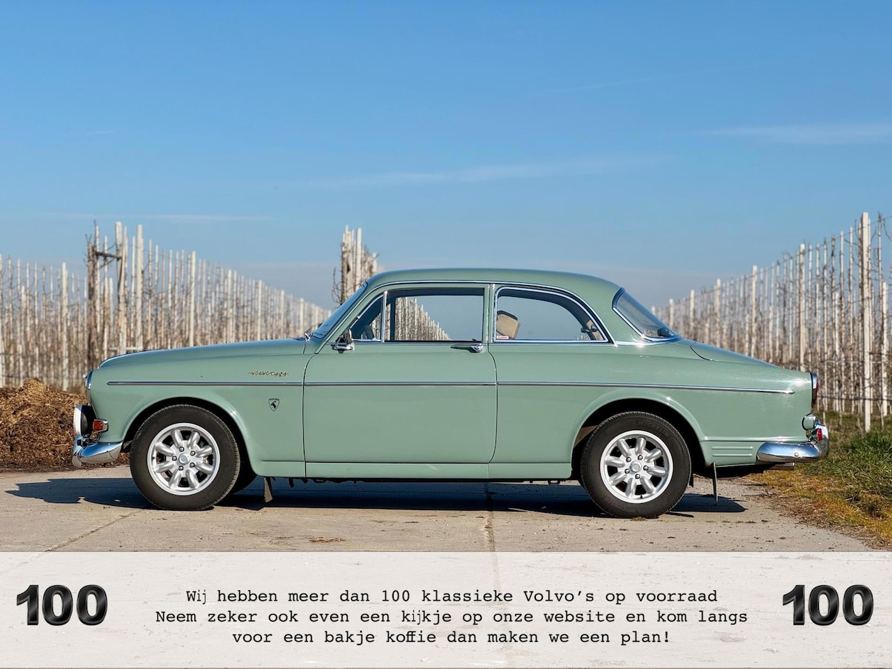Volvo Amazon - B20, zeldzame kleur, rally klaar, rittensport, technisch top - AutoWereld.nl