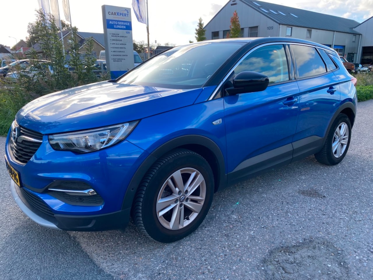 Opel Grandland X - 1.2 Turbo Business Executive 1.2 Turbo Business Executive - AutoWereld.nl