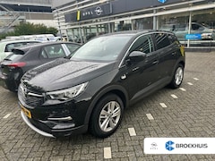 Opel Grandland X - 1.2 Turbo Business Executive | Achteruitrijcamera | Airco (automatisch) | Apple Carplay/An
