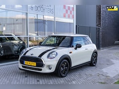 MINI 3-Deurs - 1.2 One Salt