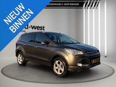 Ford Kuga - 1.5 Titanium Plus Clima Stoelverwarming Trekhaak