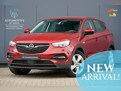 Opel Grandland X - 1.6 TURBO 229 pk HYBRID BUSINESS AUTOMAAT / Z.G.A.N. / GRATIS ONDERHOUD en APK / APPLE CAR