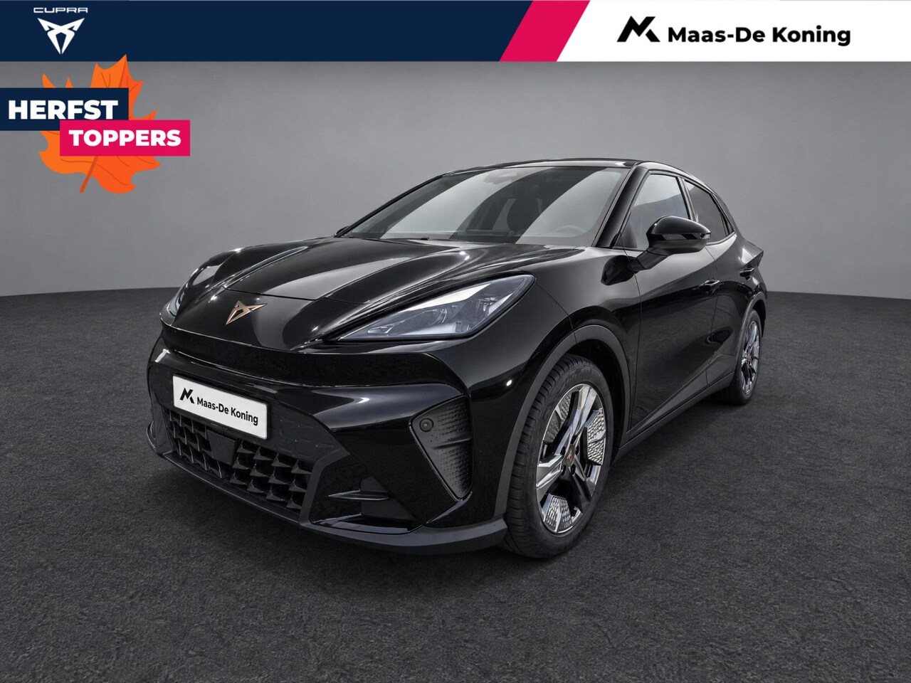 CUPRA Raval - Business First Edition 56 kWh 211 PK l 18" Devier l Achteruitrijcamera l Stoel en Stuurver - AutoWereld.nl