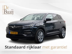 Opel Grandland X - 1.2 Turbo Business Edition | Winter pakket | Achteruitrijcamera | 17'' Licht metaal
