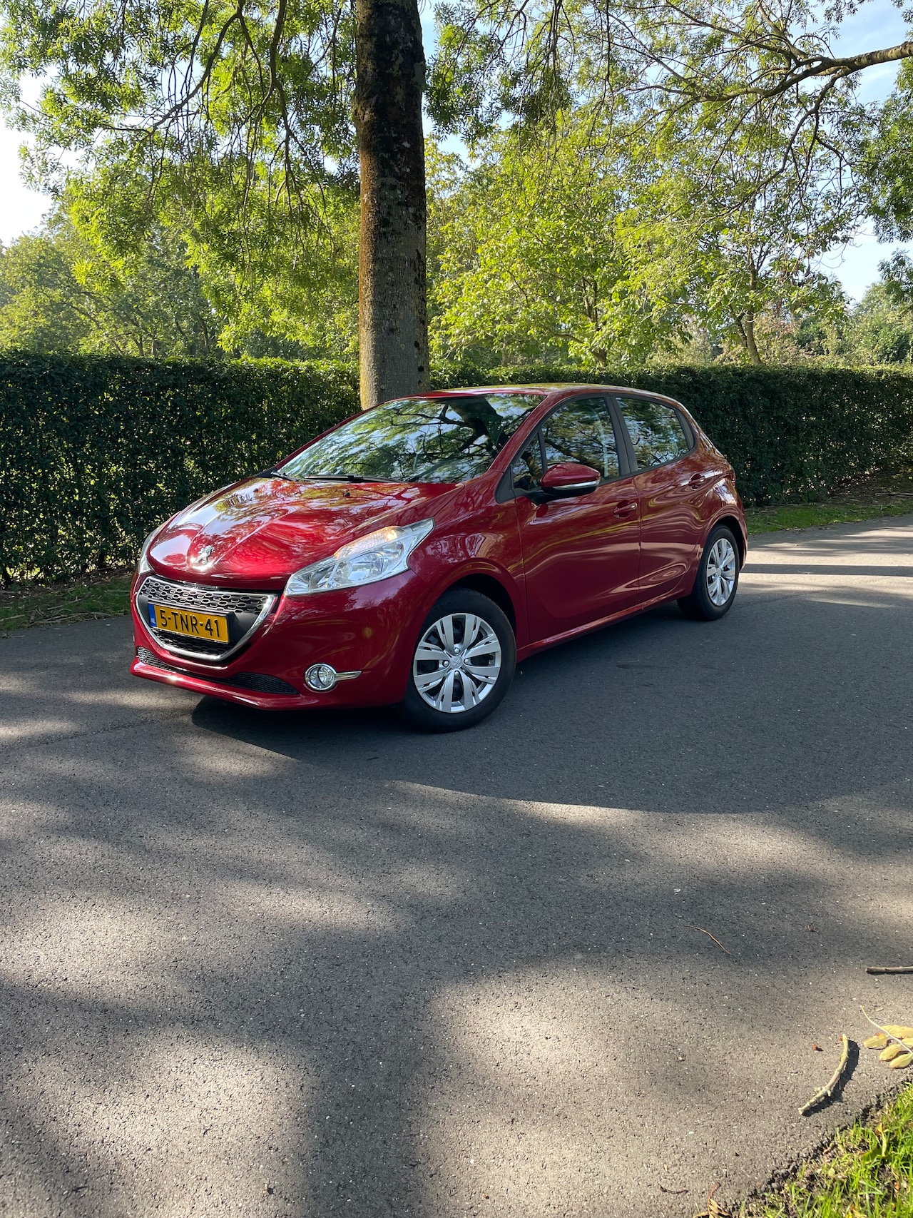 Peugeot 208 - 1.2 Vti Envy 5- deurs - AutoWereld.nl