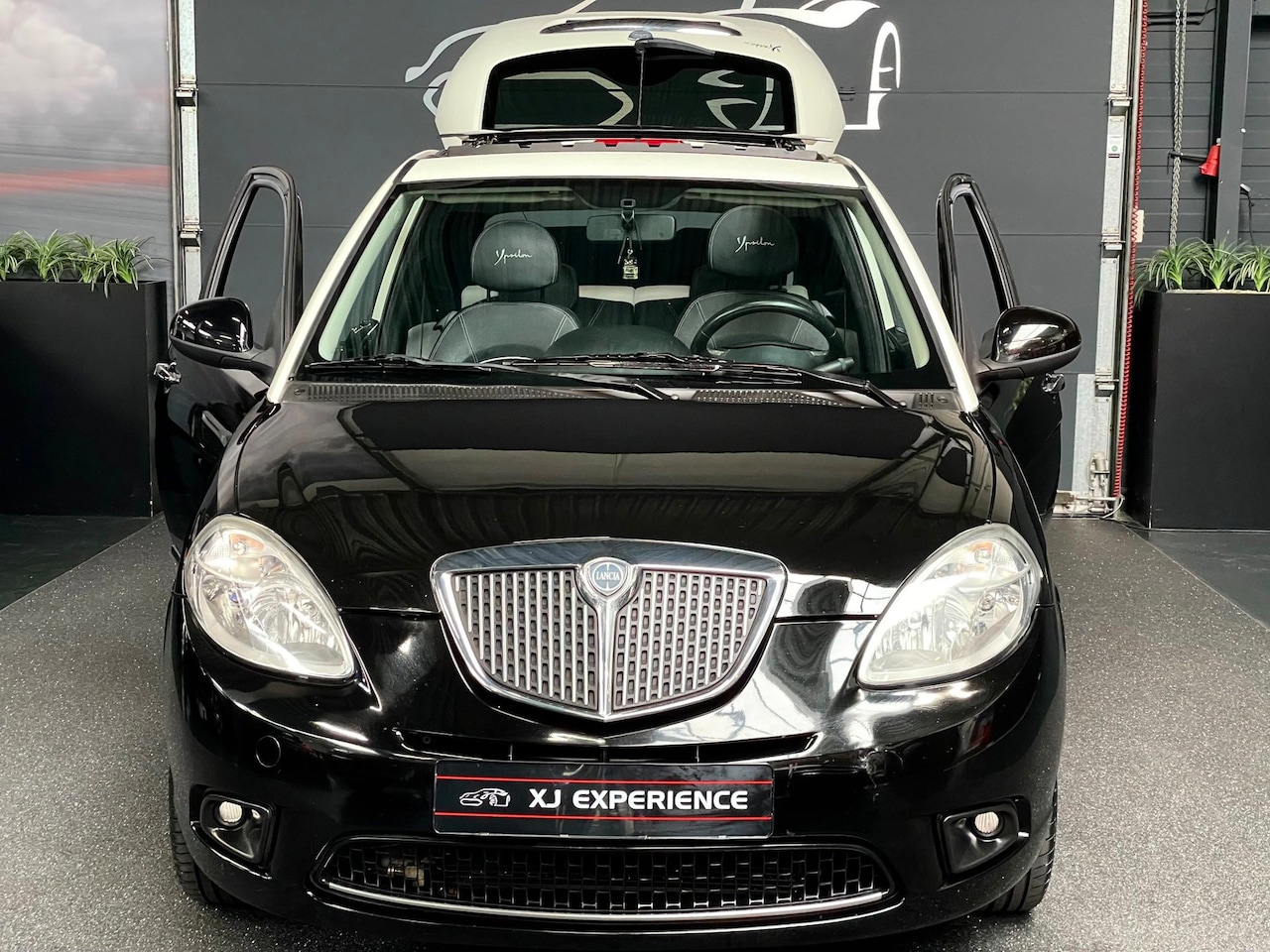 Lancia Y(psilon) - Ypsilon 1.2 Elle PANODAK AIRCO - AutoWereld.nl