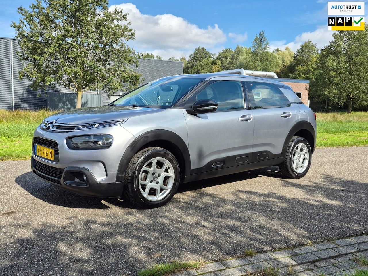 Citroën C4 Cactus - 1.2 PureTech Business 1.2 PureTech Business 110 pk - AutoWereld.nl