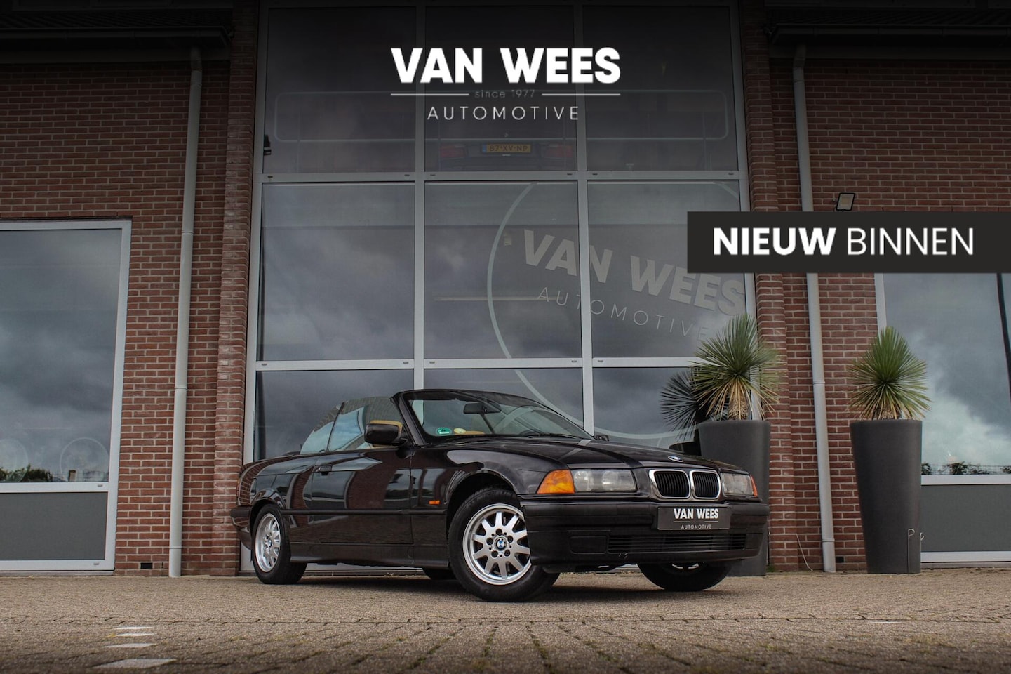BMW 3-serie Cabrio - 318i Executive | Origineel NL | Cruise control | Stoelverwarming | Elektrische kap | Autom - AutoWereld.nl