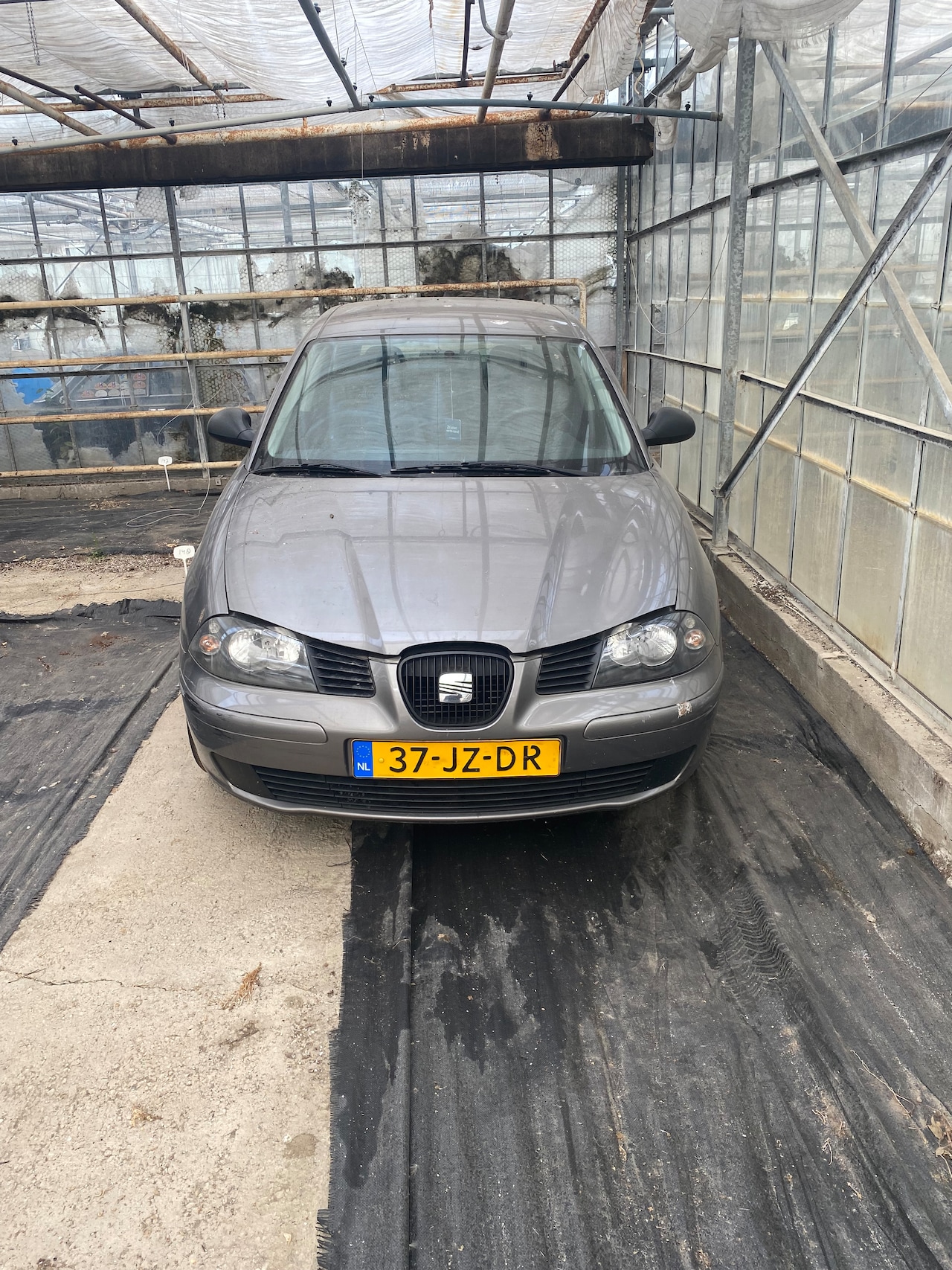 SEAT Ibiza - 1.2-12V Stella - AutoWereld.nl