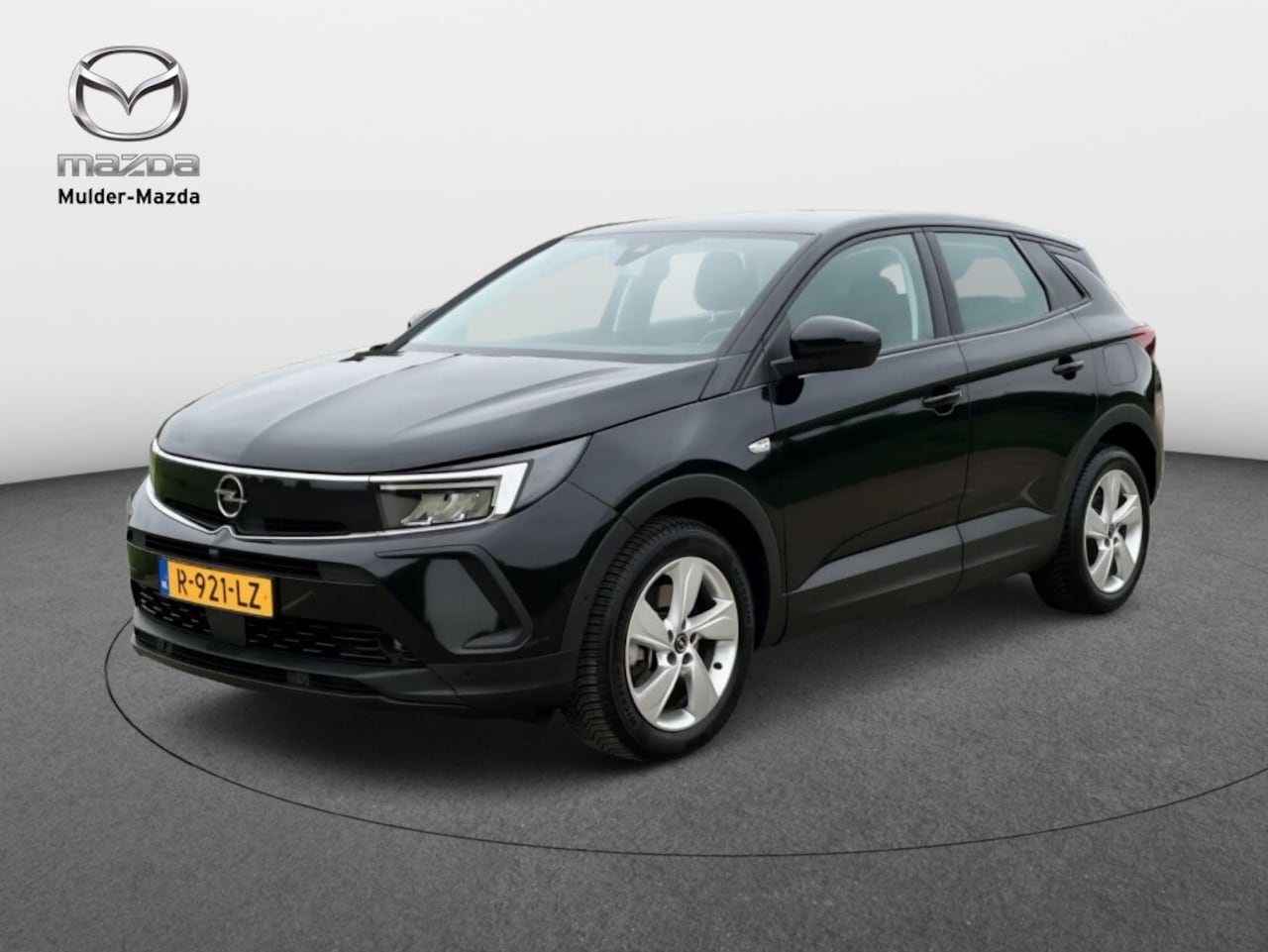Opel Grandland - 1.6 TurboHy Bns Ed | Navi | Achteruitrijcamera | Cruise | Onderhouden - AutoWereld.nl