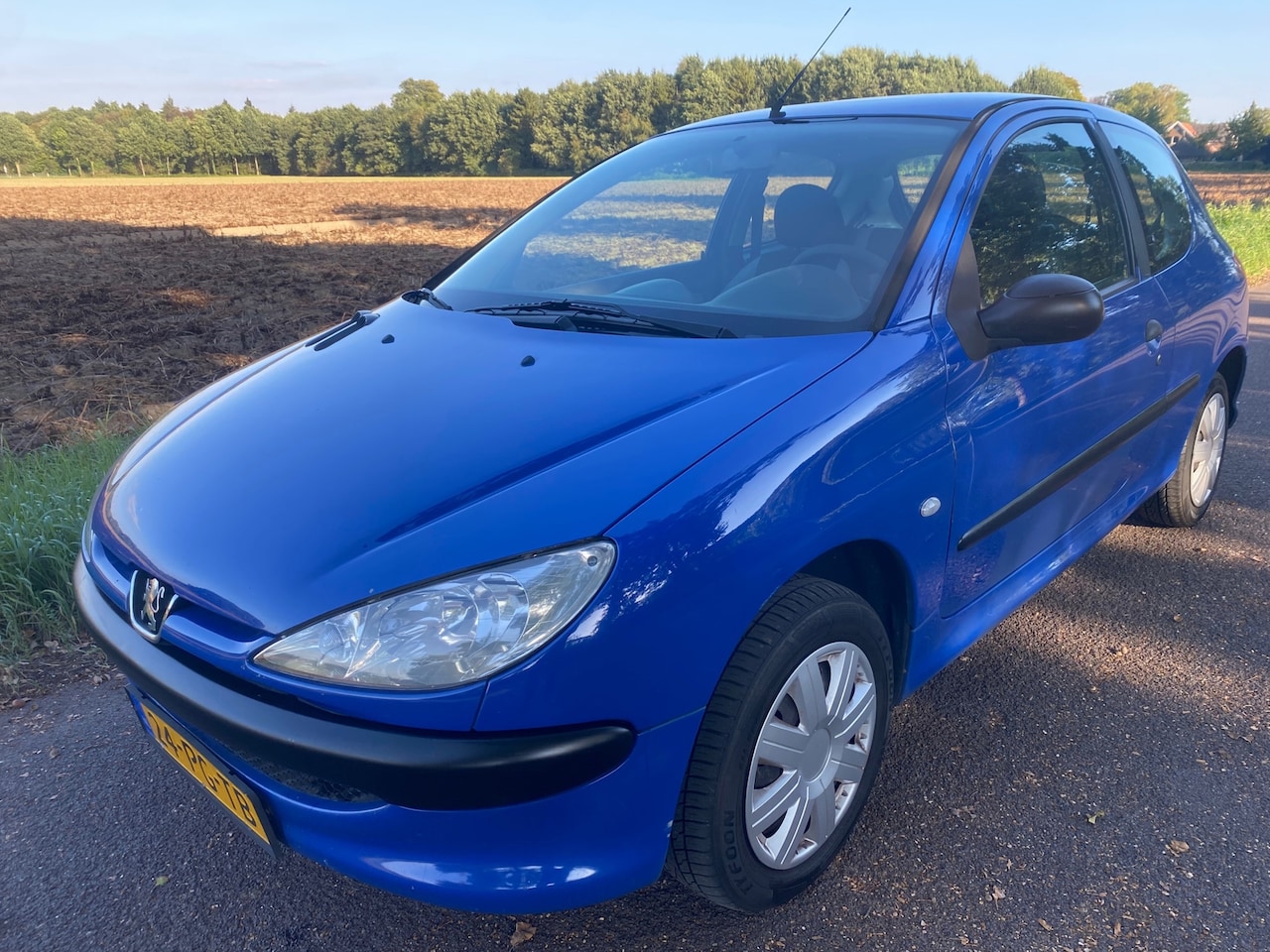 Peugeot 206 - 1.1 Pop' Art 1.1 Pop' Art - AutoWereld.nl