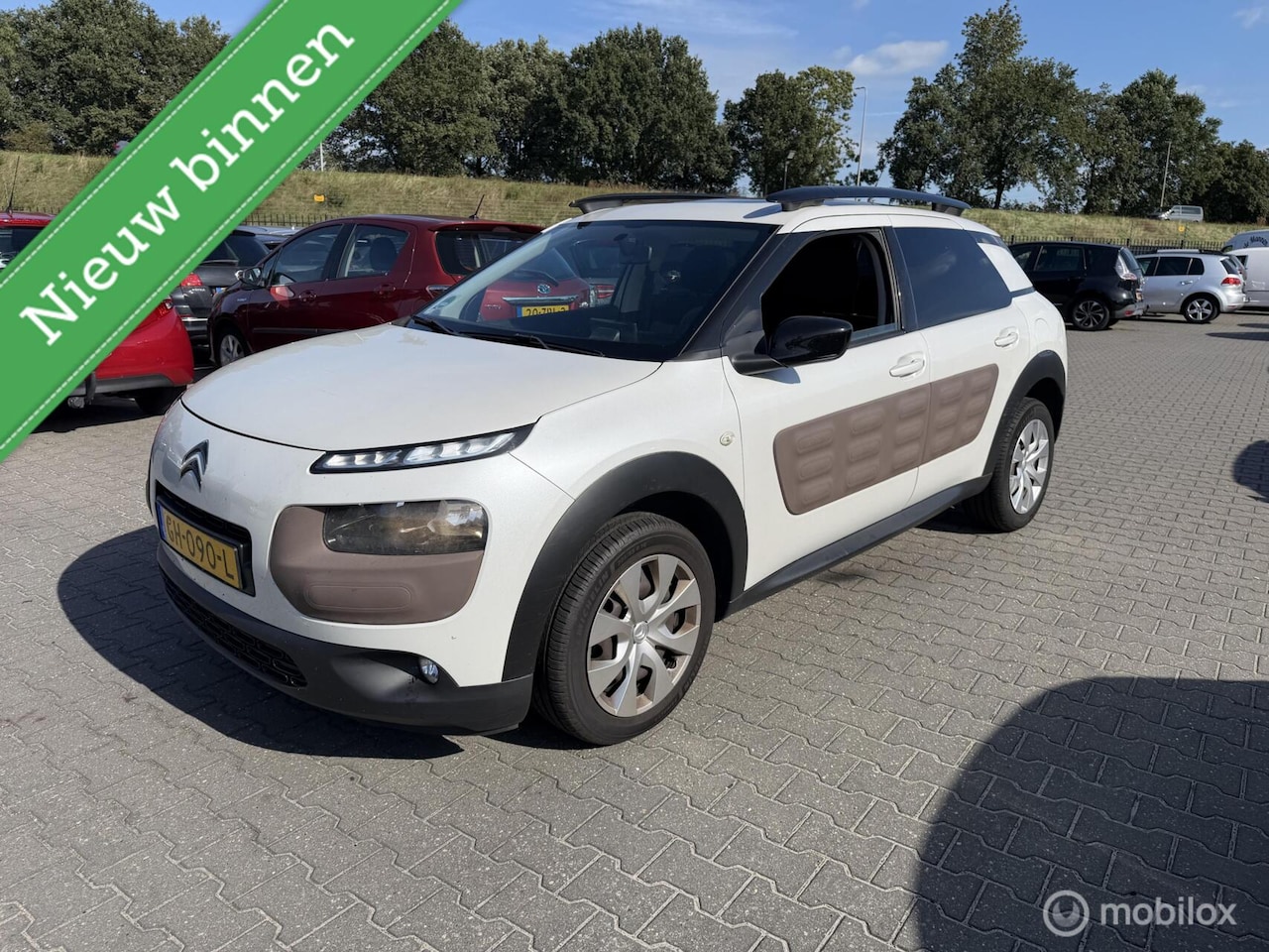 Citroën C4 Cactus - 1.2 PureTech Shine riem is vervangen pano - AutoWereld.nl