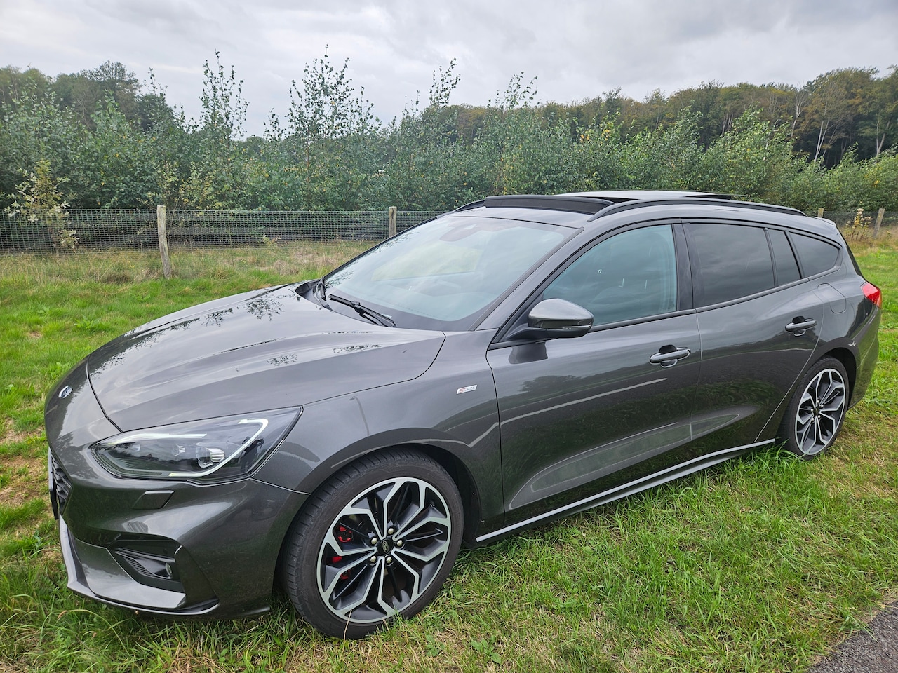 Ford Focus Wagon - 1.5 EcoBoost ST Line Business Panoramadak | Full LED | Trekhaak | Winterpack - AutoWereld.nl