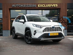 Toyota RAV4 - 2.5 Hybrid AWD Business Intro