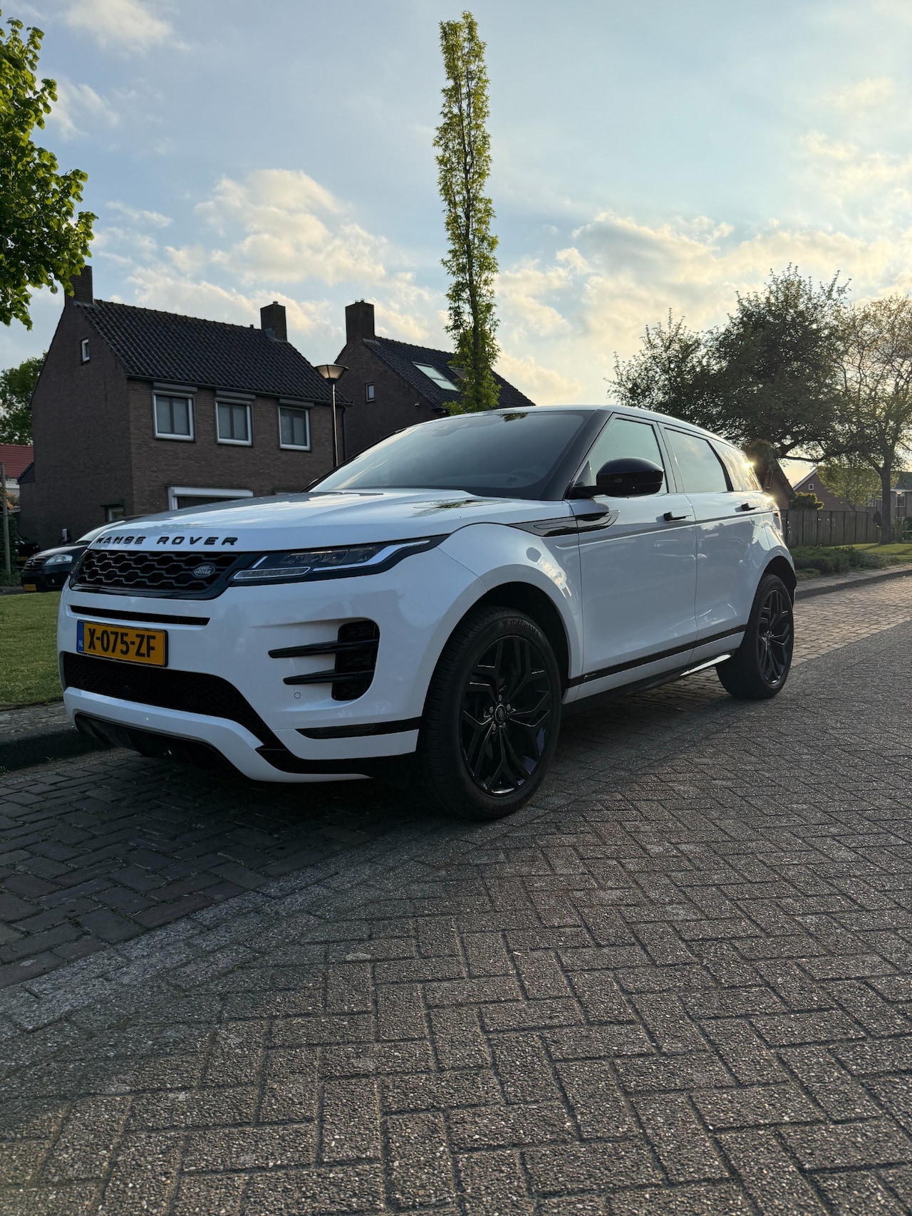 Land Rover Range Rover Evoque - 2.0 P200 AWD R-Dynamic HSE - AutoWereld.nl