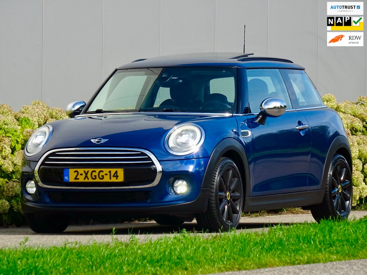 MINI 3-Deurs - 1.5 Cooper Chili Sport | 2x Panorama | NL | - AutoWereld.nl